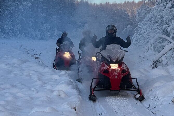Glacier snowmobile tour - Who Should Consider This Snowmobile Tour?