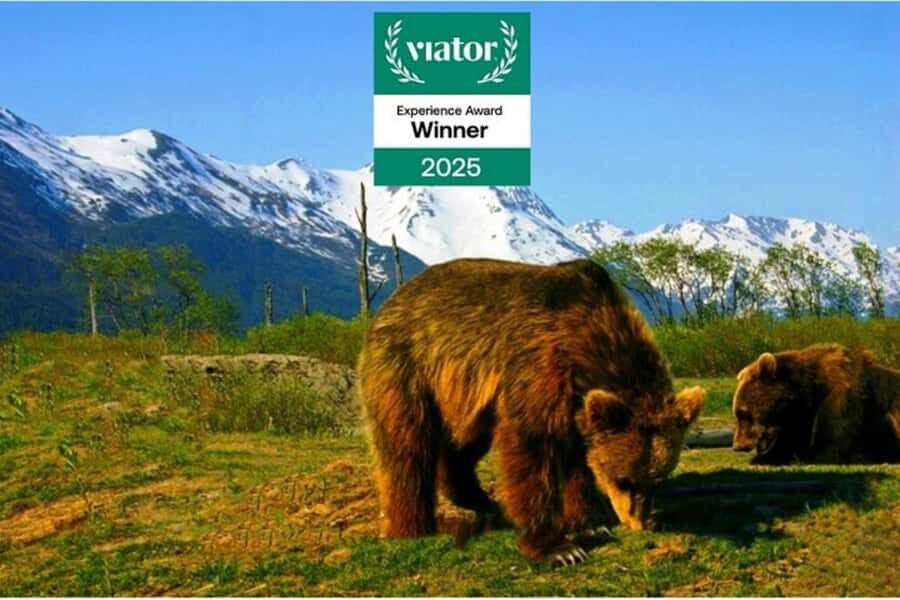 Glacier View & Wildlife Anchorage Adventure Tour - In-Depth Look at the Glacier View & Wildlife Anchorage Adventure Tour