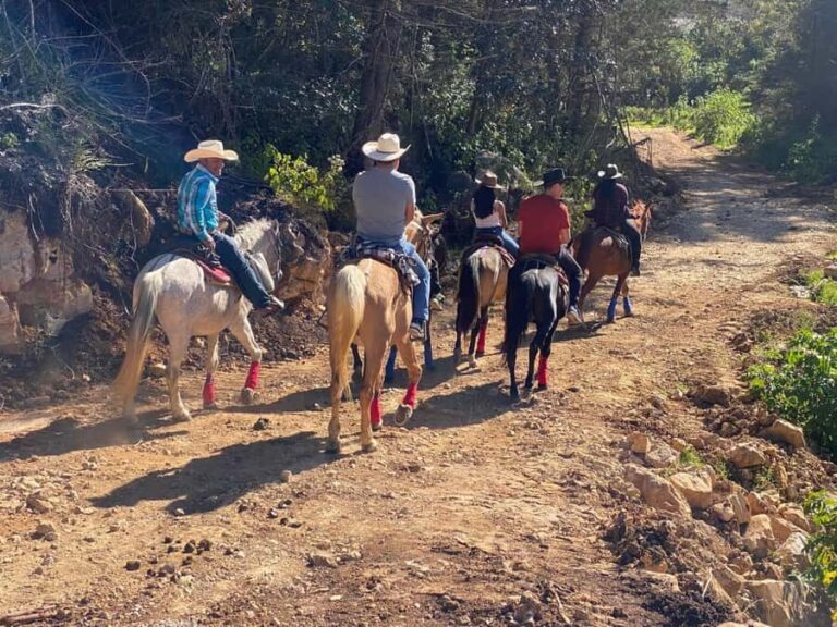 Go horseback riding in the forest and visit San Juan Chamula - Why It’s a Good Value