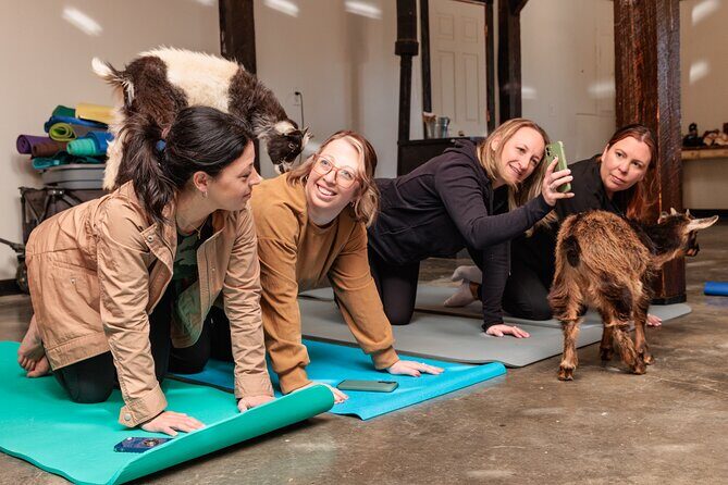 Goat Yoga Experience in Asheville - Who Will Love This Experience?