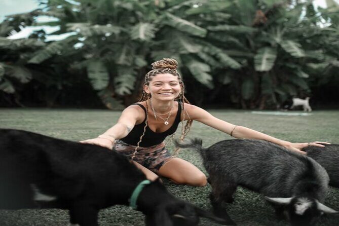 Goat Yoga Group Session - The Value of This Experience