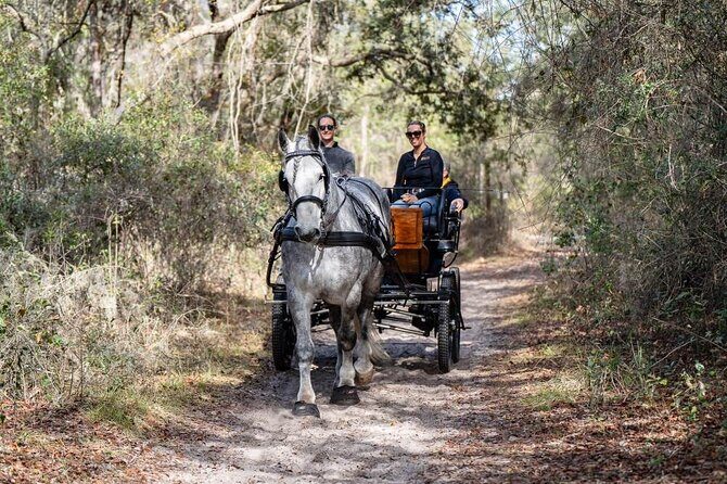 Goethe Forest Carriage Ride - Why Choose This Experience?