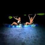 Golden Hour Kayak Cruise Through Turtle Town - A Deep Dive into the Golden Hour Kayak Experience