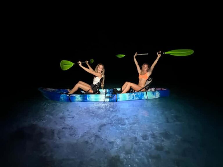 Golden Hour Kayak Cruise Through Turtle Town - A Deep Dive into the Golden Hour Kayak Experience