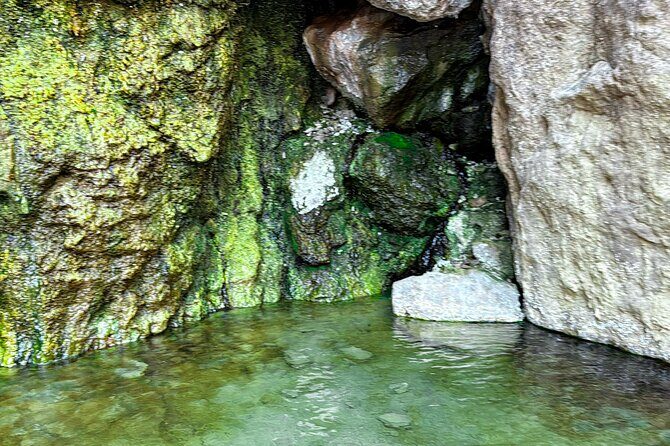 Goldstrike Hot Springs and 124 Degree Magma Heated Waterfall Hike - The Experience in Detail: What to Expect from Start to Finish