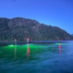 Gordon Bay: Paddleboard Glow Cruise Light & Sound Experience - The Itinerary: What to Expect