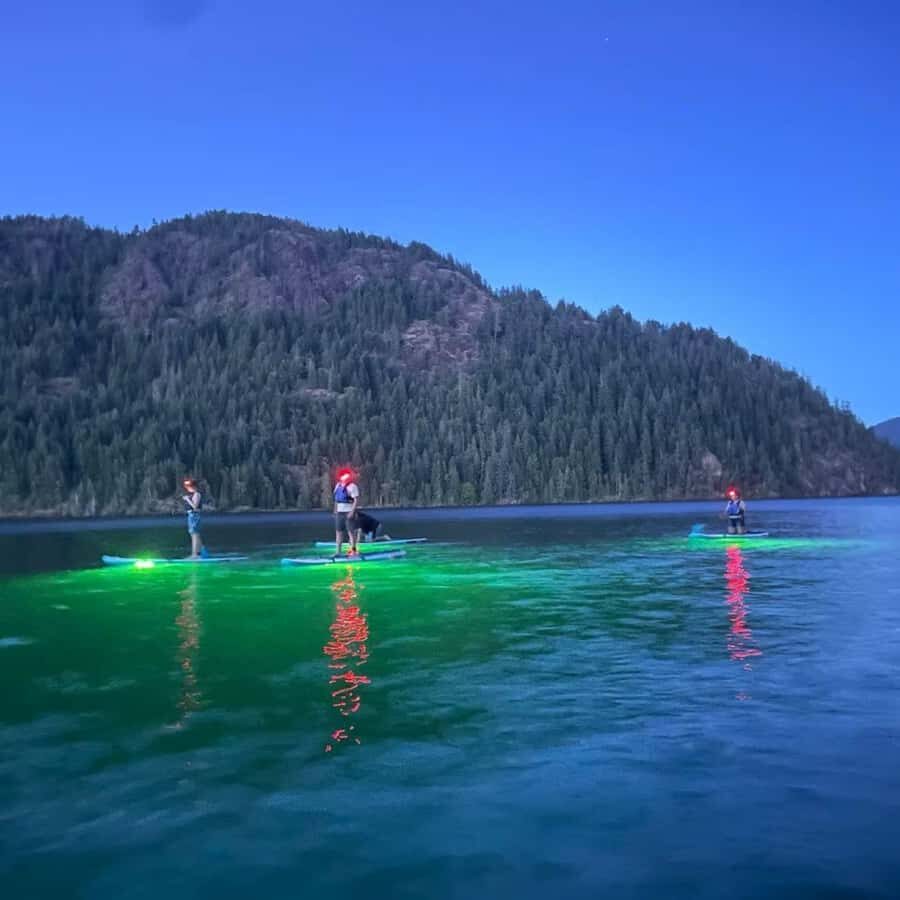 Gordon Bay: Paddleboard Glow Cruise Light & Sound Experience - The Itinerary: What to Expect
