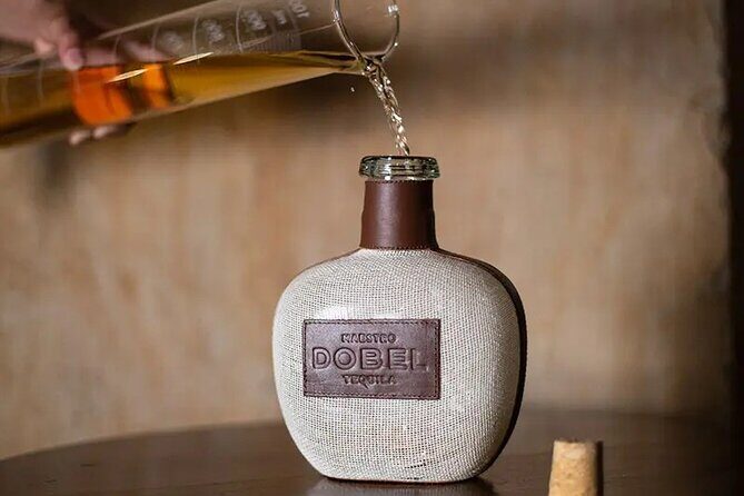 Gourmet tequilero - A Deep Dive into the Gourmet Tequilero Tour