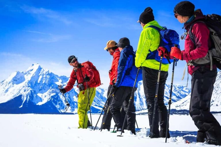 Grand Teton National Park: 4-Hour Easy Snowshoeing Tour - Who Should Book This Tour?