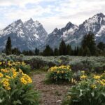 Grand Teton National Park Tour - Who Should Take This Tour?