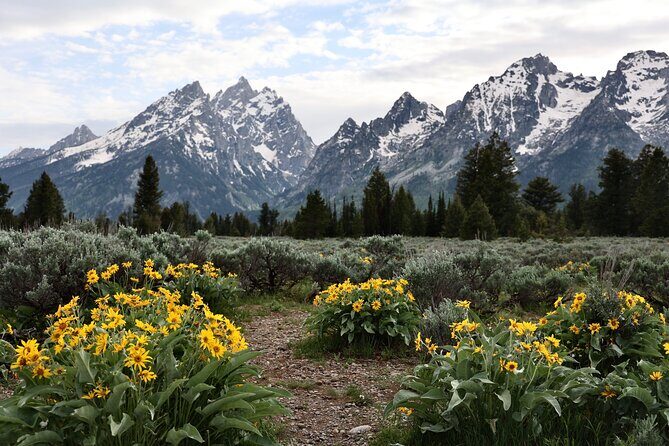 Grand Teton National Park Tour - Who Should Take This Tour?