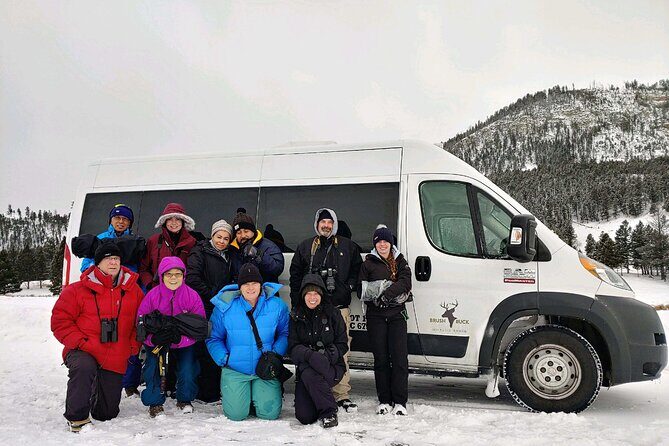 Grand Teton Wildlife Safari in a Enclosed or Open-Air Vehicle (season dependent) - Who Will Love This Tour?