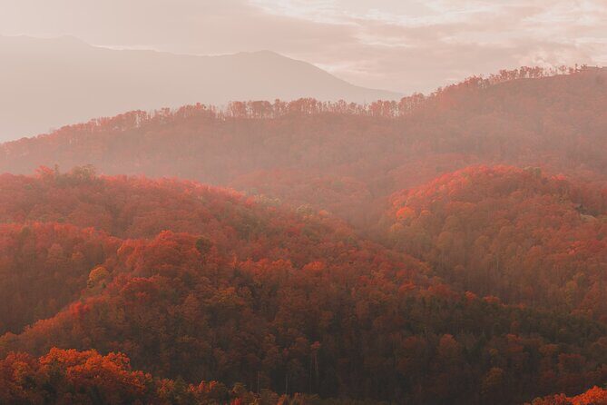 Great Smoky Mountains Full Day Private Tour & Hike - Who Would Enjoy This Tour?