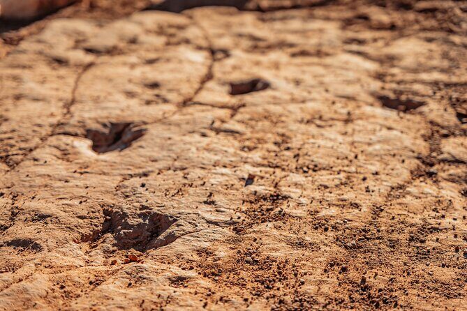 Greater Zion: Dinosaur Tracks in the Desert UTV Tour - Who Should Consider This Tour?