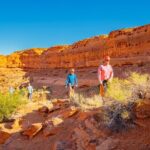 Greater Zion: UTV Ride and Rappel Combo Adventure - Who Will Love This Tour?