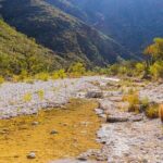 Guadalupe Mountains Self-Guided Audio Driving Tour - FAQs