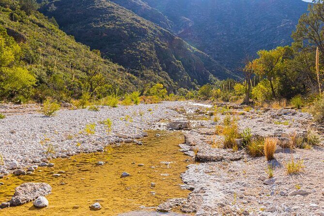 Guadalupe Mountains Self-Guided Audio Driving Tour - FAQs
