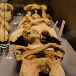 Guanajuato City One Day Extensive Tour From San Miguel - Why This Tour Works for Travelers