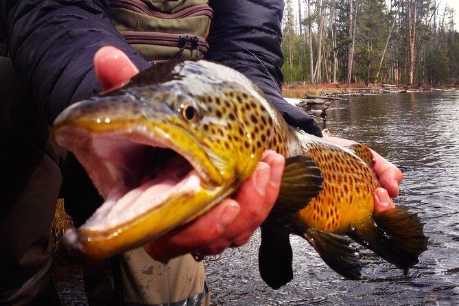 Guided Fishing Trip in Jackson Hole - What to Expect on This Guided Fishing Trip