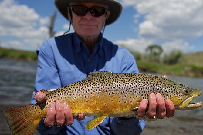 Guided Fly Fishing Trip in Bozeman, MT - Full Day Trip - Who Should Consider This Trip?
