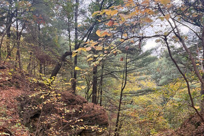 Guided Hike at Starved Rock and Matthiessen Park - Final Thoughts: Who Will Love This Tour?