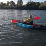 Guided Kayak Tour of Crystal Rivers Springs and Wildlife - Who Will Enjoy This Tour?
