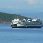 Guided Kayak Tour on San Juan Island - Why We Think This Tour Offers Great Value