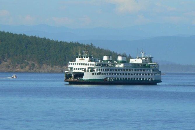 Guided Kayak Tour on San Juan Island - Why We Think This Tour Offers Great Value