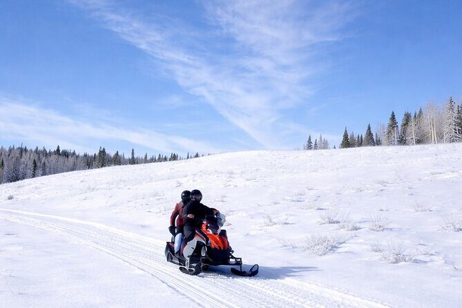 Guided On Trail Snowmobile and UTV Tours Near Rabbit Ears Pass - What Travelers Say About Their Experience