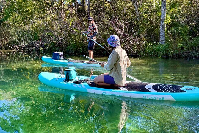Guided Paddleboard Adventure on Weeki Wachee Springs - A Deep Dive into the Paddleboard Experience