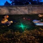 Guided Paranormal Investigation Tour in St. Augustine - An In-Depth Look at the Paranormal Investigation Tour in St. Augustine