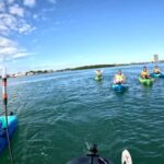 Guided Pedal Kayak Tours in Anna Maria and Bradenton - A Closer Look at the Tour Experience
