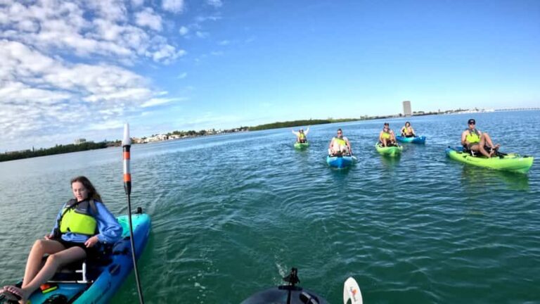 Guided Pedal Kayak Tours in Anna Maria and Bradenton - A Closer Look at the Tour Experience