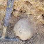 Guided Rock Collecting Tour with a Geologist near Salt Lake City - Final Thoughts