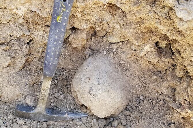 Guided Rock Collecting Tour with a Geologist near Salt Lake City - Final Thoughts