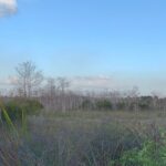 Guided Safari-Style Jeep Tour - The Value of the Experience