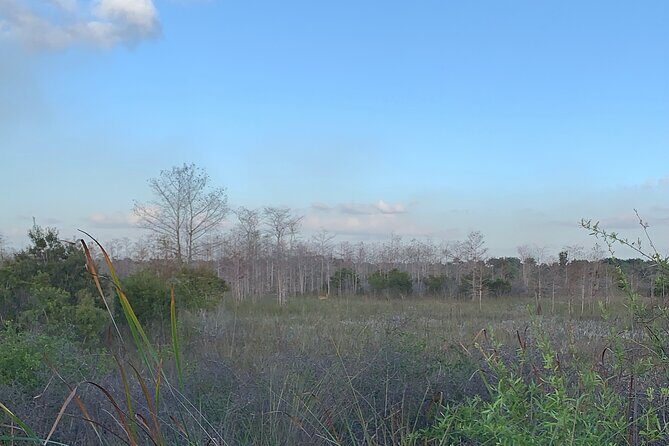 Guided Safari-Style Jeep Tour - The Value of the Experience