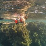 Guided Snorkeling Adventure in West Bay - Who Will Love This Tour?