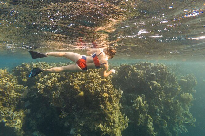 Guided Snorkeling Adventure in West Bay - Who Will Love This Tour?