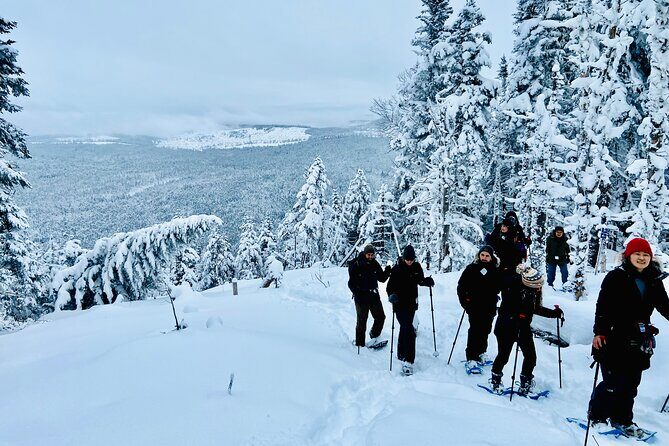 Guided Snowshoeing Adventure in the Boreal Forest - Final Thoughts