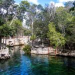Guided tour of 4 cenotes at Casa Tortugas with transportation and buffet - The Sum Up