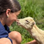 Guided UTV Ride-Along Tour on the Big Island - The Sum Up: Who Will Love This Tour?