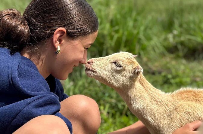 Guided UTV Ride-Along Tour on the Big Island - The Sum Up: Who Will Love This Tour?
