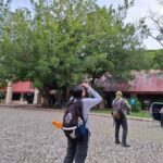 Guided walking tour in the Palenque jungle (Palenque National Park) - A Closer Look at the Palenque Jungle Walking Tour