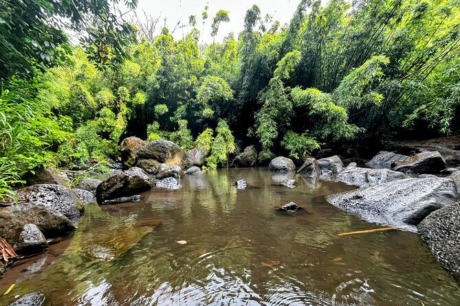 Guided Waterfall and Jungle Hiking Tour - Exploring Oahu’s Waterfalls and Tidepools: What You Can Expect
