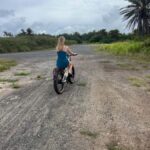Haleiwa: North Shore Guided Electric Bike Tour - Why Choose This Tour?