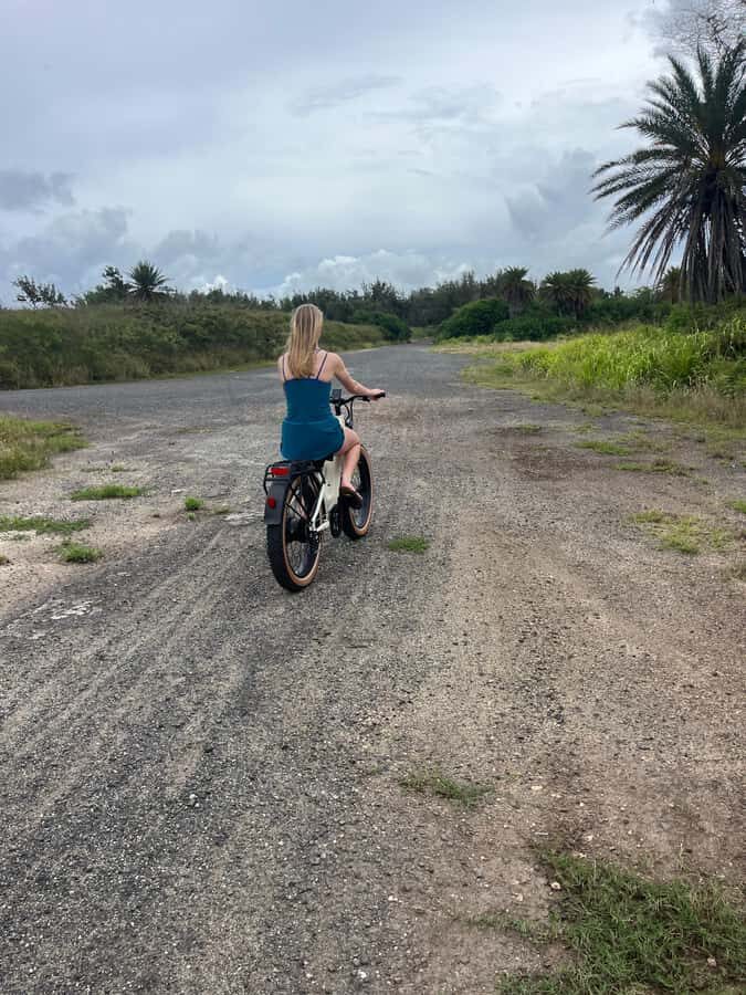 Haleiwa: North Shore Guided Electric Bike Tour - Why Choose This Tour?