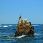 Half-Day Exploring the Arch of Cabo San Lucas Guided Tour - Why This Tour Offers Good Value