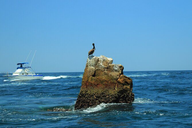 Half-Day Exploring the Arch of Cabo San Lucas Guided Tour - Why This Tour Offers Good Value