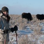 Half-Day Grand Teton Wildlife Private Safari Tour - Exploring the Itinerary: What You Can Expect